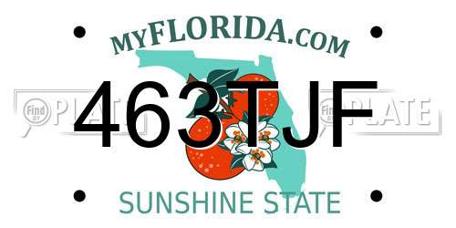 463TJF Florida License Plate