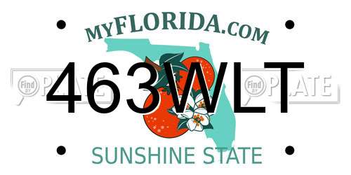 463WLT Florida License Plate