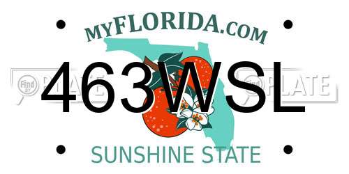 463WSL Florida License Plate