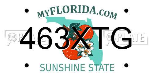 463XTG Florida License Plate