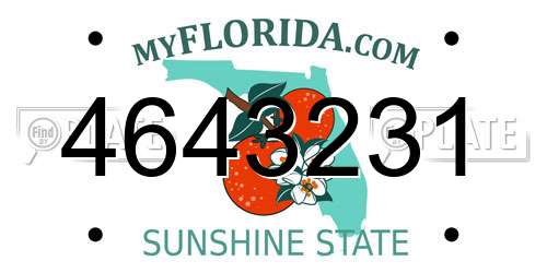 4643231 Florida License Plate
