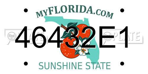 46432E1 Florida License Plate