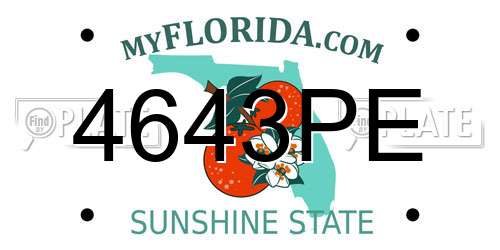 4643PE Florida License Plate