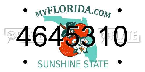 4645310 Florida License Plate