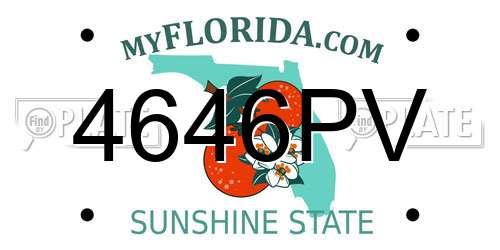 4646PV Florida License Plate