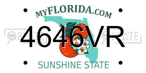 4646VR Florida License Plate