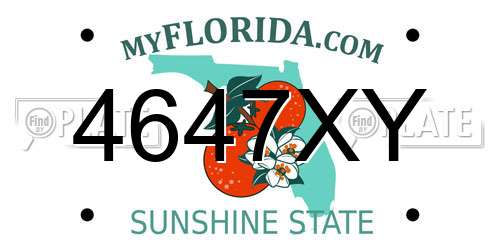 4647XY Florida License Plate