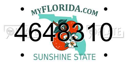 4648310 Florida License Plate