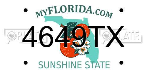 4649TX Florida License Plate