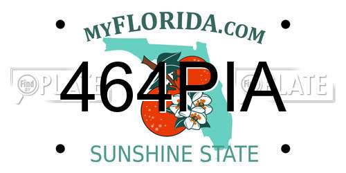 464PIA Florida License Plate
