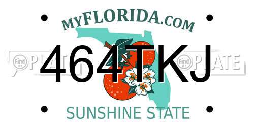 464TKJ Florida License Plate