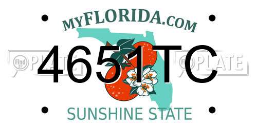 4651TC Florida License Plate