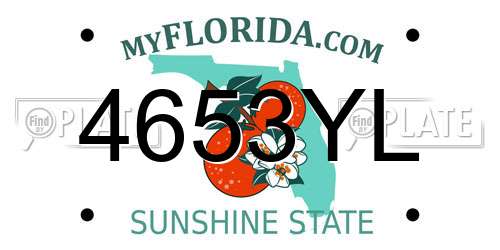 4653YL Florida License Plate