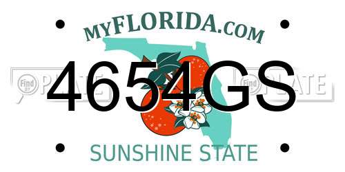 4654GS Florida License Plate