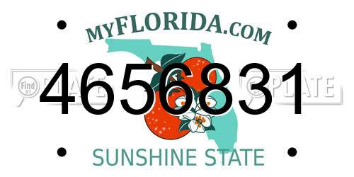 4656831 Florida License Plate