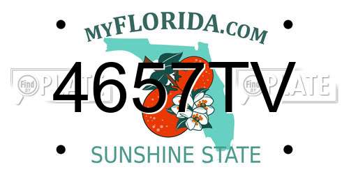 4657TV Florida License Plate