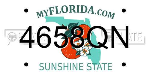 4658QN Florida License Plate