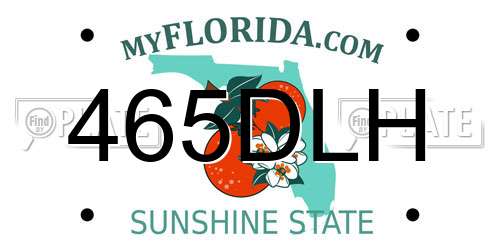 465DLH Florida License Plate