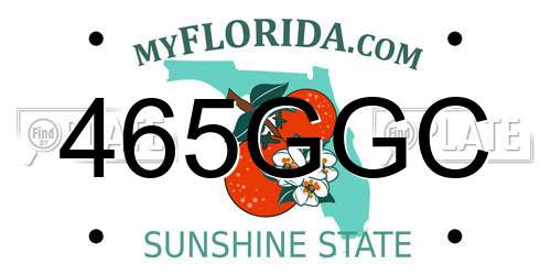 465GGC Florida License Plate