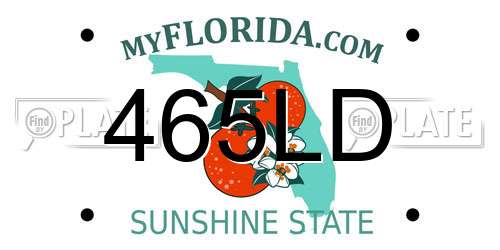 465LD Florida License Plate