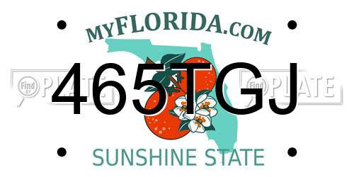 465TGJ Florida License Plate