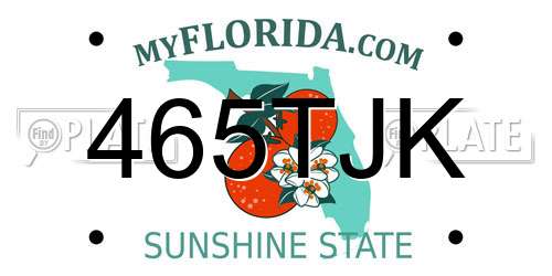 465TJK Florida License Plate