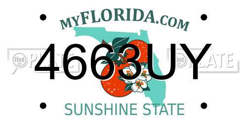 4663UY Florida License Plate