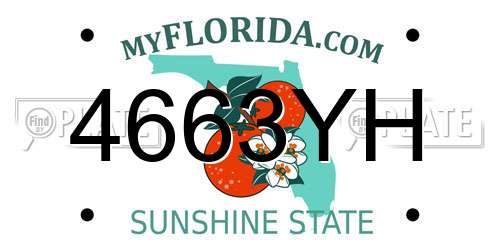 4663YH Florida License Plate