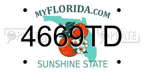 4669TD Florida License Plate