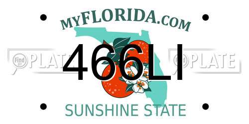 466LI Florida License Plate