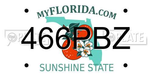 466PBZ Florida License Plate