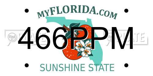 466PPM Florida License Plate