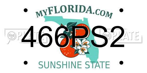 466PS2 Florida License Plate