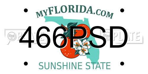 466PSD Florida License Plate