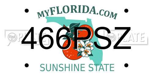 466PSZ Florida License Plate