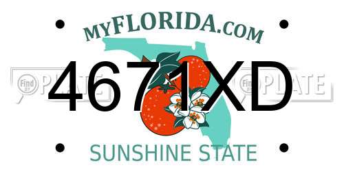 4671XD Florida License Plate