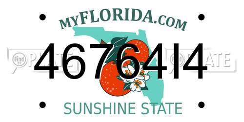 46764I4 Florida License Plate