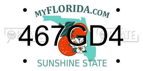 467GD4 Florida License Plate