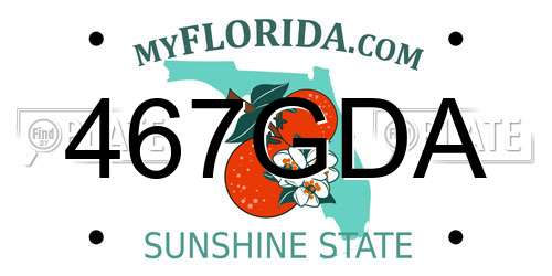467GDA Florida License Plate