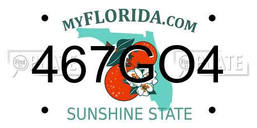 467GO4 Florida License Plate