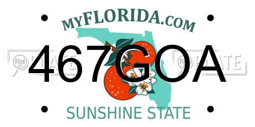 467GOA Florida License Plate
