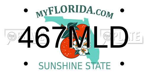 467MLD Florida License Plate