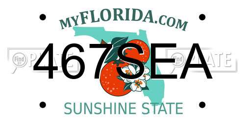 467SEA Florida License Plate