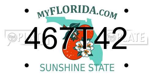 467T42 Florida License Plate