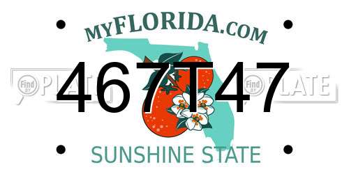 467T47 Florida License Plate