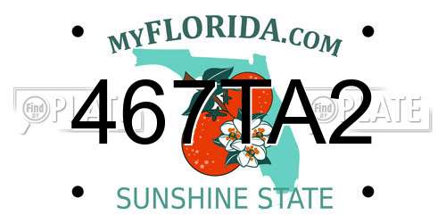 467TA2 Florida License Plate