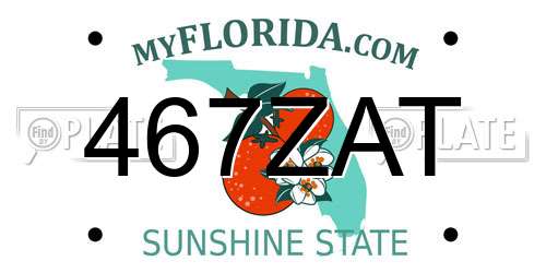 467ZAT Florida License Plate