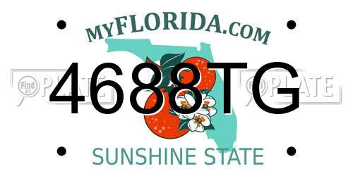 4688TG Florida License Plate
