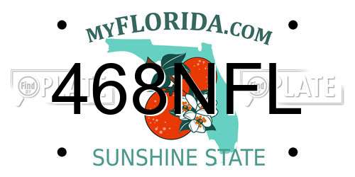 468NFL Florida License Plate