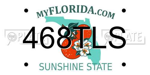 468TLS Florida License Plate